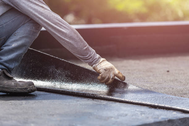 Professional Interior Drainage System technician working in Axis, AL